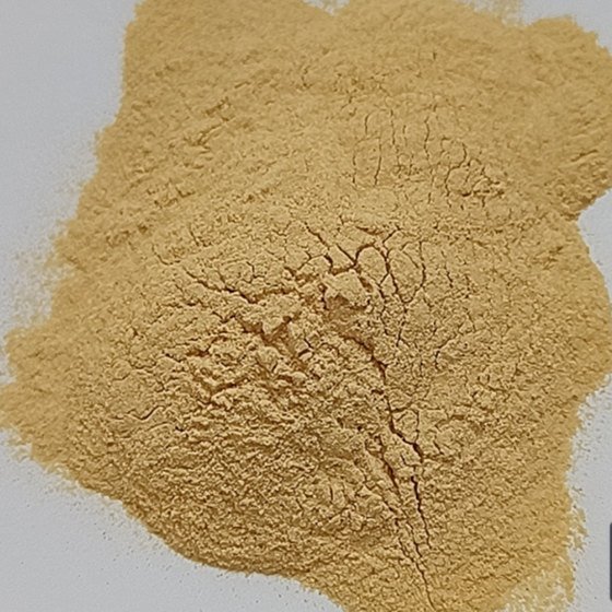 টোস্ট করা রসুনের গুঁড়া
